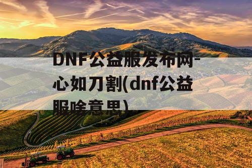 DNF公益服发布网-心如刀割(dnf公益服啥意思)
