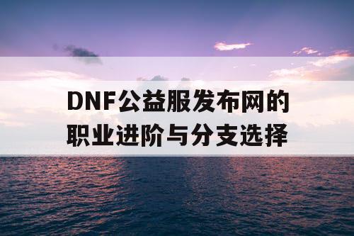 DNF公益服发布网的职业进阶与分支选择