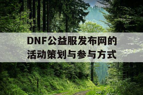 DNF公益服发布网的活动策划与参与方式