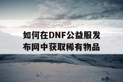 如何在DNF公益服发布网中获取稀有物品