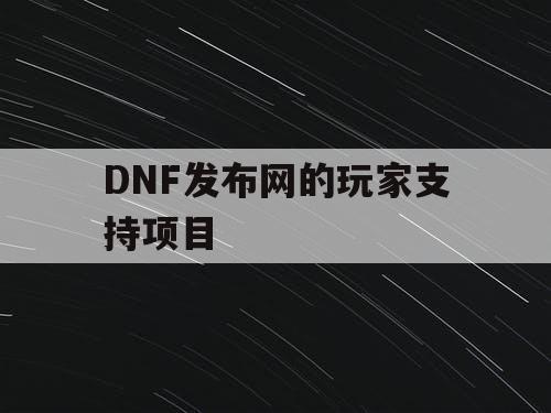 DNF发布网的玩家支持项目