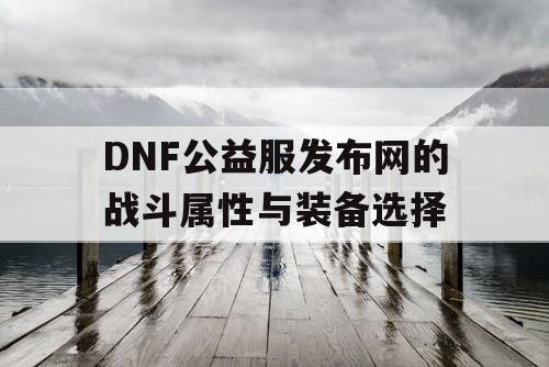 DNF公益服发布网的战斗属性与装备选择