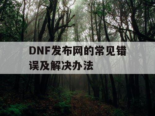 DNF发布网的常见错误及解决办法