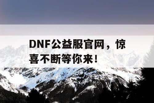 DNF公益服官网，惊喜不断等你来！