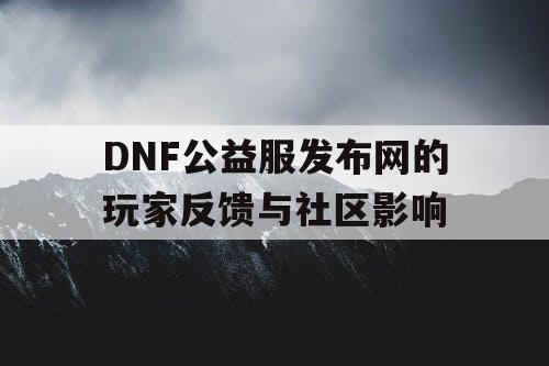 DNF公益服发布网的玩家反馈与社区影响