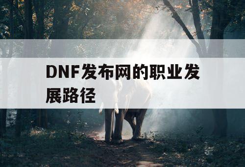 DNF发布网的职业发展路径