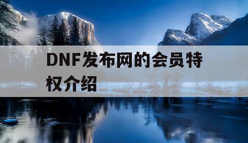 DNF发布网的会员特权介绍