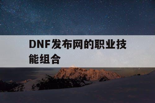 DNF发布网的职业技能组合