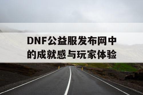 DNF公益服发布网中的成就感与玩家体验