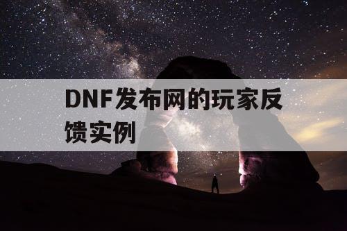 DNF发布网的玩家反馈实例