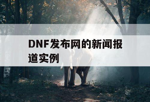 DNF发布网的新闻报道实例