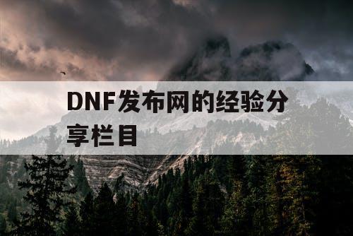 DNF发布网的经验分享栏目