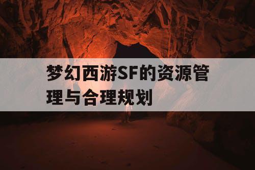 梦幻西游SF的资源管理与合理规划