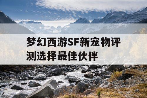 梦幻西游SF新宠物评测选择最佳伙伴