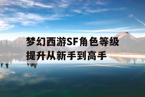 梦幻西游SF角色等级提升从新手到高手