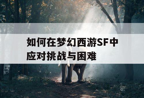 如何在梦幻西游SF中应对挑战与困难