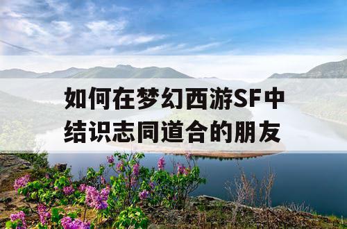 如何在梦幻西游SF中结识志同道合的朋友