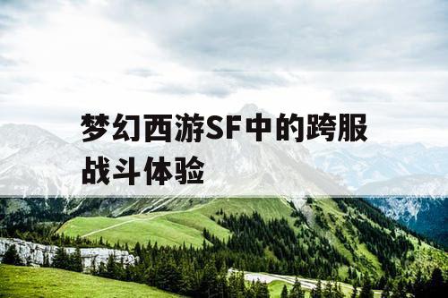 梦幻西游SF中的跨服战斗体验