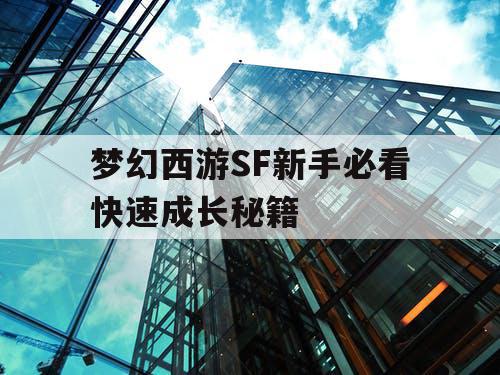 梦幻西游SF新手必看快速成长秘籍