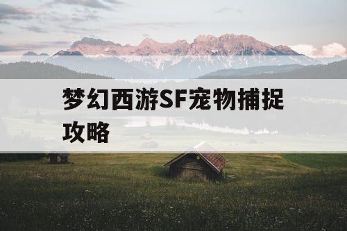 梦幻西游SF宠物捕捉攻略