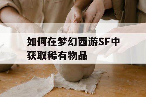 如何在梦幻西游SF中获取稀有物品