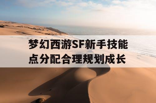 梦幻西游SF新手技能点分配合理规划成长