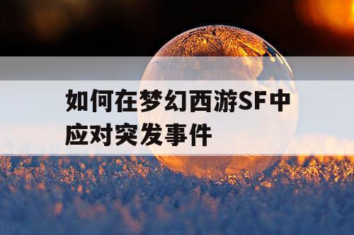 如何在梦幻西游SF中应对突发事件
