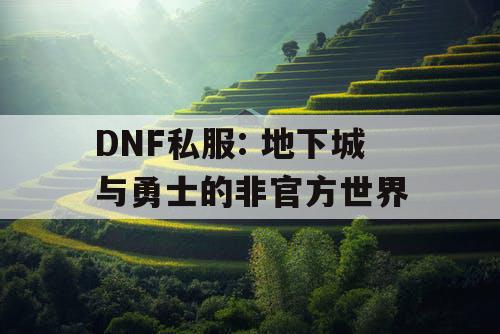 DNF私服: 地下城与勇士的非官方世界