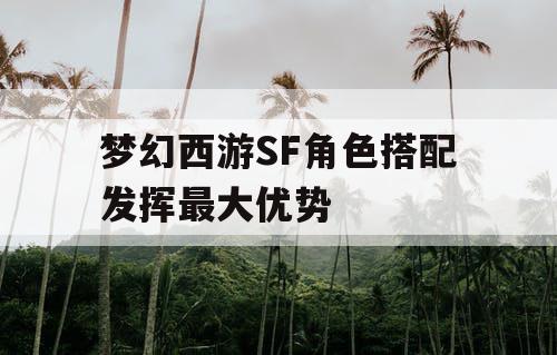 梦幻西游SF角色搭配发挥最大优势