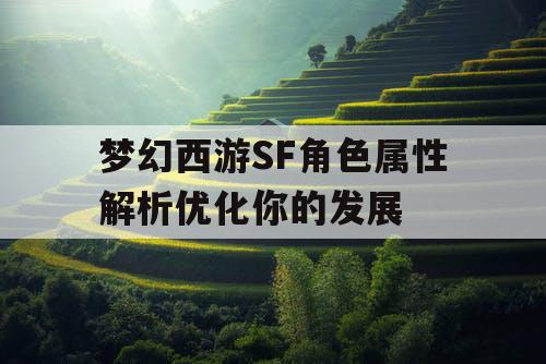 梦幻西游SF角色属性解析优化你的发展