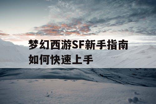 梦幻西游SF新手指南如何快速上手