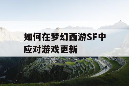 如何在梦幻西游SF中应对游戏更新