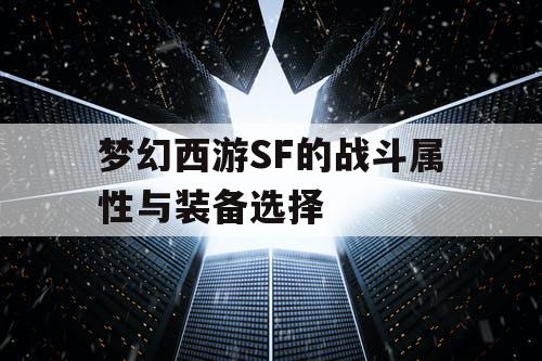 梦幻西游SF的战斗属性与装备选择