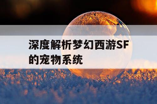 深度解析梦幻西游SF的宠物系统