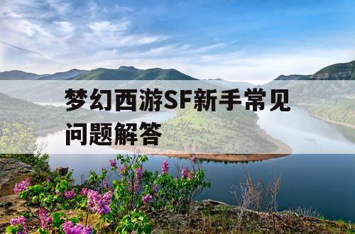 梦幻西游SF新手常见问题解答