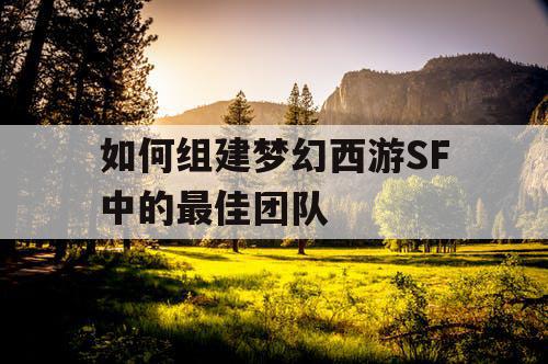 如何组建梦幻西游SF中的最佳团队