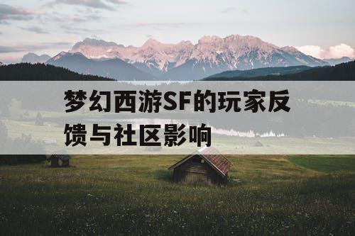 梦幻西游SF的玩家反馈与社区影响