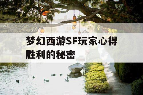 梦幻西游SF玩家心得胜利的秘密