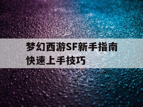 梦幻西游SF新手指南快速上手技巧