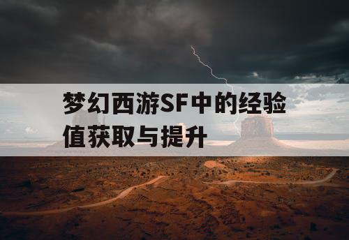 梦幻西游SF中的经验值获取与提升