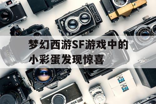 梦幻西游SF游戏中的小彩蛋发现惊喜