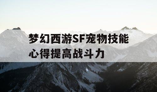 梦幻西游SF宠物技能心得提高战斗力