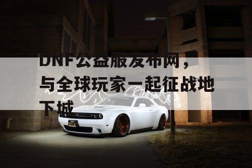 DNF公益服发布网，与全球玩家一起征战地下城
