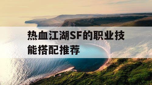 热血江湖SF的职业技能搭配推荐
