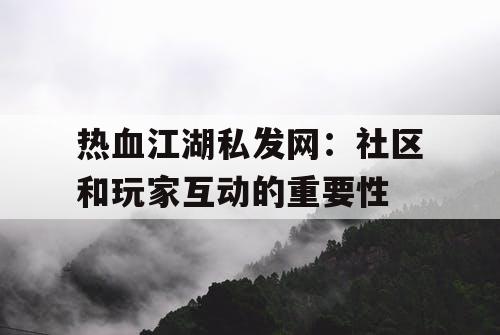 热血江湖私发网：社区和玩家互动的重要性