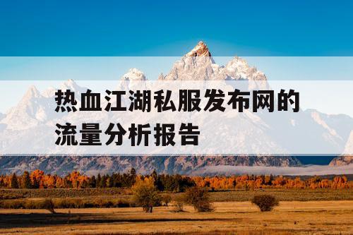 热血江湖私服发布网的流量分析报告