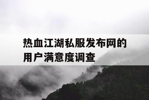 热血江湖私服发布网的用户满意度调查