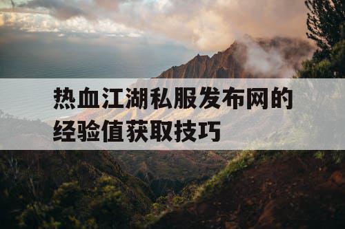 热血江湖私服发布网的经验值获取技巧