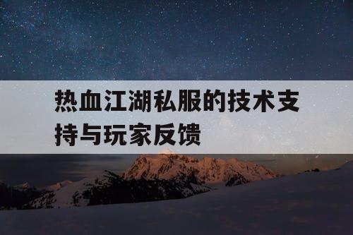 热血江湖私服的技术支持与玩家反馈