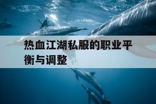 热血江湖私服的职业平衡与调整